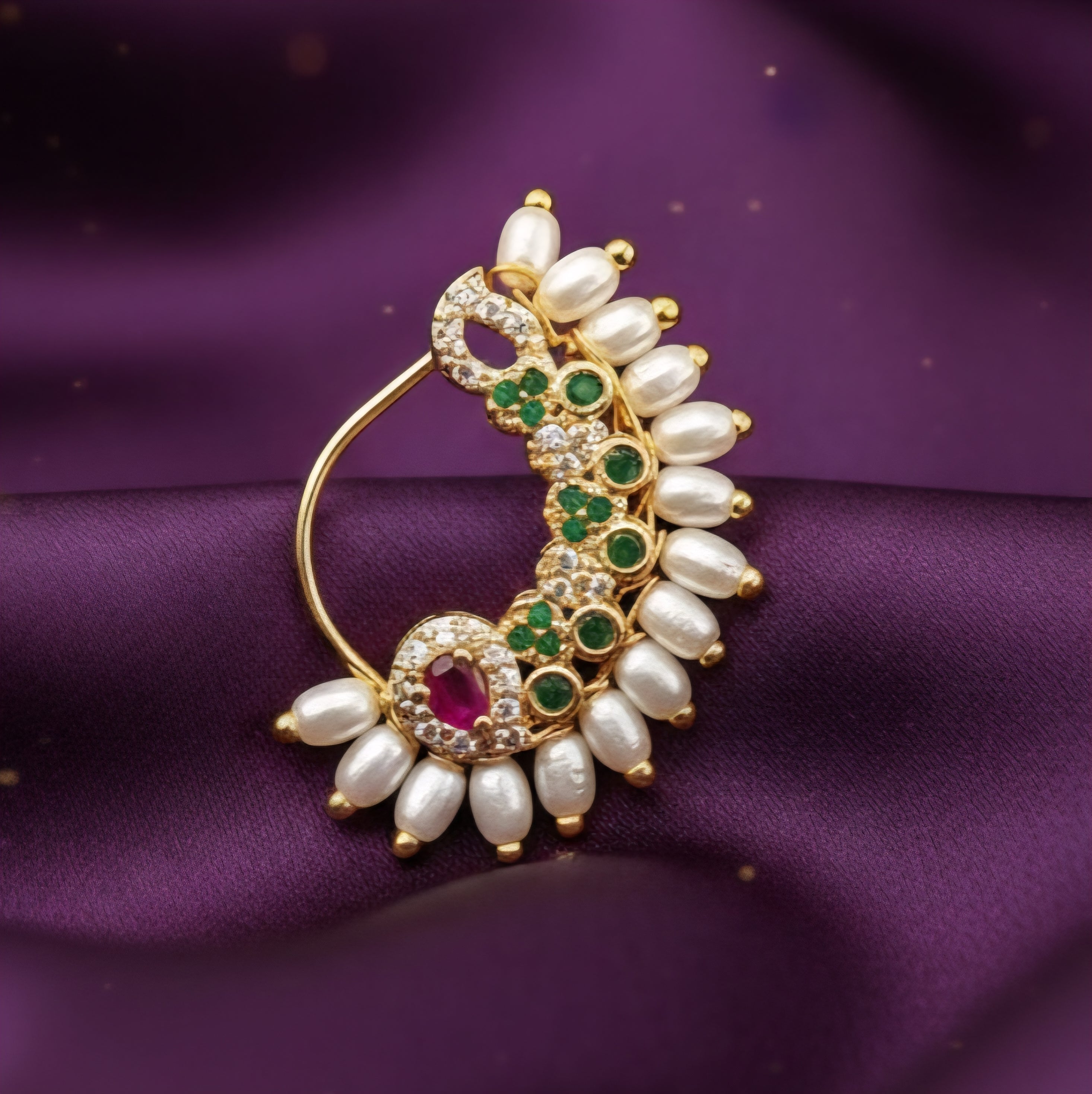 Traditional Maharashtrian Banu Nath (wiy) Press Nath